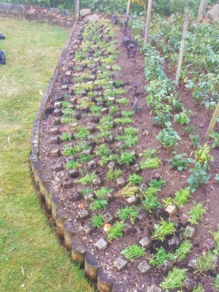 Gardener Aberdeenshire